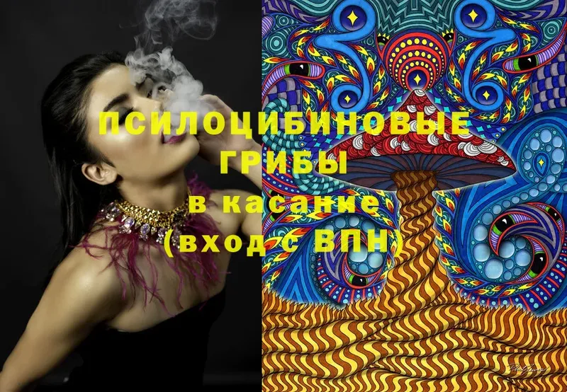 Псилоцибиновые грибы Magic Shrooms  Пучеж 